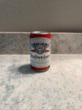 Budweiser Beer Can Speaker